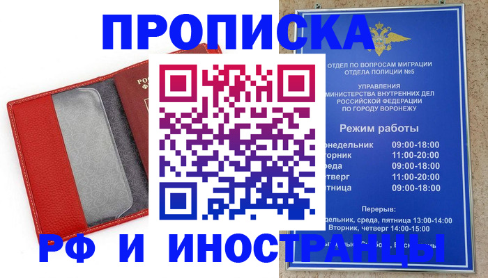 пропишу в квартире в Волоколамске